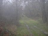 DSC08507.JPG