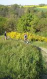 20150419_100017_resized.jpg